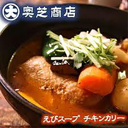 送料無料 カレー レトルト 奥芝商店 スープカレー えびスープチキンカリー 2個セット メール便 送料込 北海道 札幌 スパイス 本場 お土産 手土産 贈り物 プレゼント