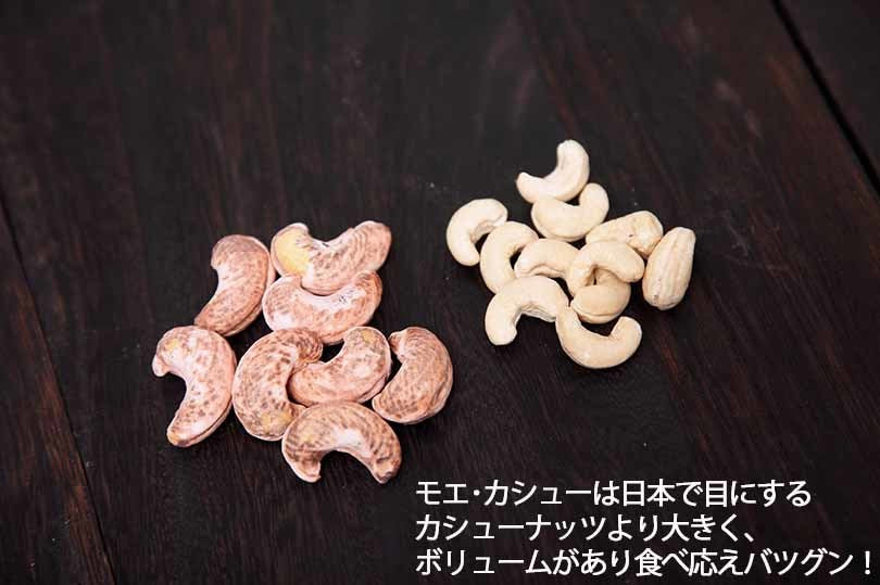カシューナッツ 皮付き ナッツ モエ・カシュー (salt/塩味）100g×2個セット カンボジア産 送料無料 メール便 渋皮付き 塩味 酒 つまみ お土産 プレゼント ギフト 特大 ナッツ お取り寄せ