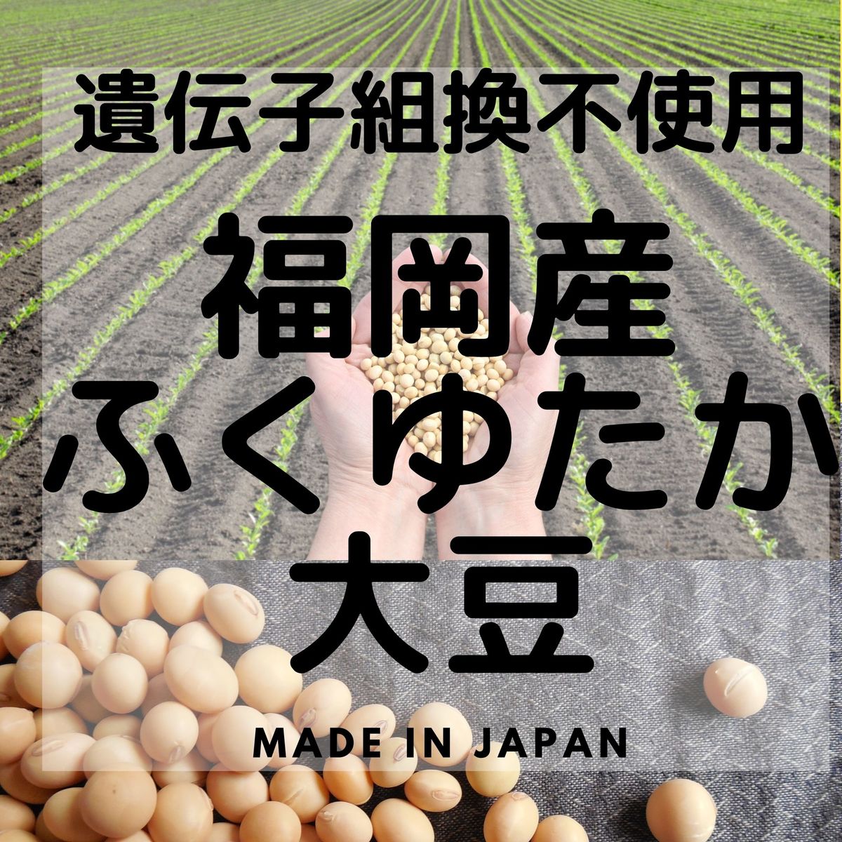 【徳用SOYちょこ×12袋】徳用 チョコレート 送料無料 ヘルシー お菓子 チョコ 大豆 ダイエット おやつ ビーガン ヴィーガン 人気 お取り寄せ 洋菓子 スイーツ グルテンフリー 乳アレルギー ダイエット SOYちょこ SOYチョコ 大豆チョコ 大豆ちょこ