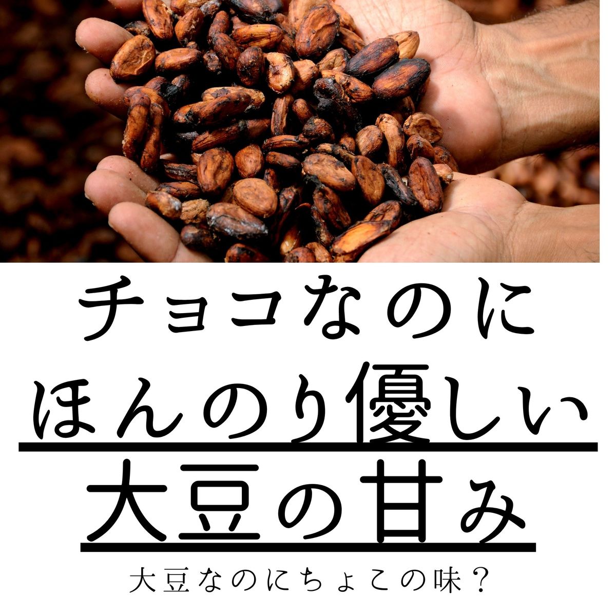 【徳用SOYちょこ×12袋】徳用 チョコレート 送料無料 ヘルシー お菓子 チョコ 大豆 ダイエット おやつ ビーガン ヴィーガン 人気 お取り寄せ 洋菓子 スイーツ グルテンフリー 乳アレルギー ダイエット SOYちょこ SOYチョコ 大豆チョコ 大豆ちょこ