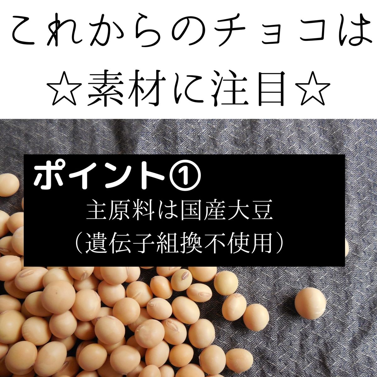 【徳用SOYちょこ×12袋】徳用 チョコレート 送料無料 ヘルシー お菓子 チョコ 大豆 ダイエット おやつ ビーガン ヴィーガン 人気 お取り寄せ 洋菓子 スイーツ グルテンフリー 乳アレルギー ダイエット SOYちょこ SOYチョコ 大豆チョコ 大豆ちょこ