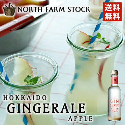 北海道ジンジャーエール（アップル）２００ml 送料無料　北海道　北海道産　炭酸飲料水 生姜 ソフトドリンク ジュース　お土産　ギフト 送料込