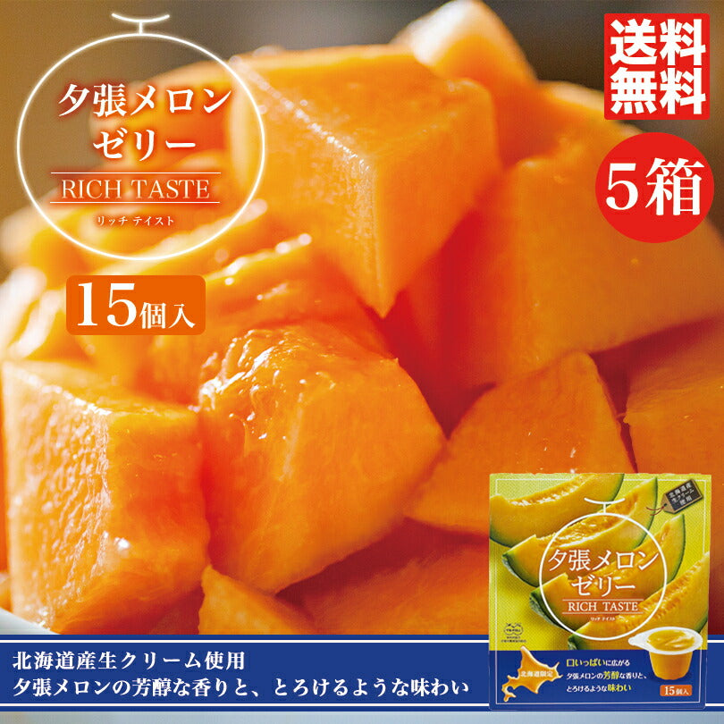 夕張メロンリッチテイスト ×5個セット 送料無料 送料込み 北辰フーズ メロンゼリー 北海道 夕張メロン 贈り物 プレゼント ギフト お土産 ご当地 お中元 お歳暮
