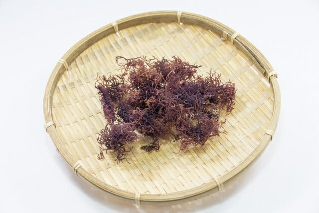 小林食品 磯のりとふのりのとろろ 北海道 お土産 のり 海苔 お味噌汁 お茶漬け 国産磯のり 北海道産ふのり がごめ昆布入とろろ カルシウムたっぷり 手土産 ギフト プレゼント