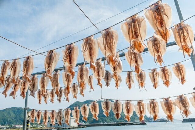 小林食品 函館の丸ごといか 北海道 お土産 函館 北海道産 イカ 手土産 ギフト プレゼント プチギフト お酒 酒の肴 家飲み 宅飲み 乾物 おつまみ