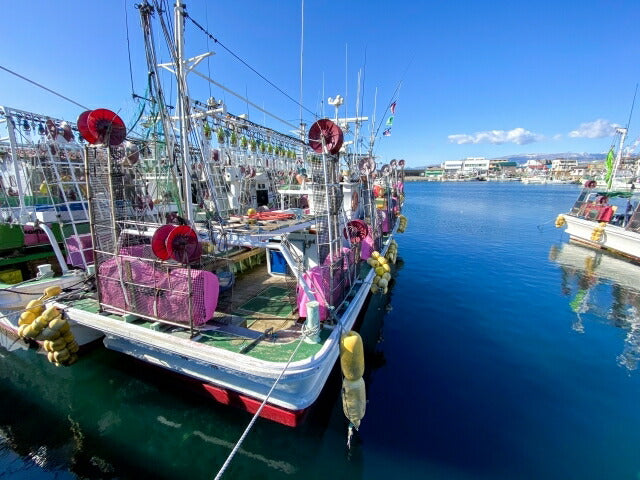 小林食品 函館の丸ごといか 北海道 お土産 函館 北海道産 イカ 手土産 ギフト プレゼント プチギフト お酒 酒の肴 家飲み 宅飲み 乾物 おつまみ