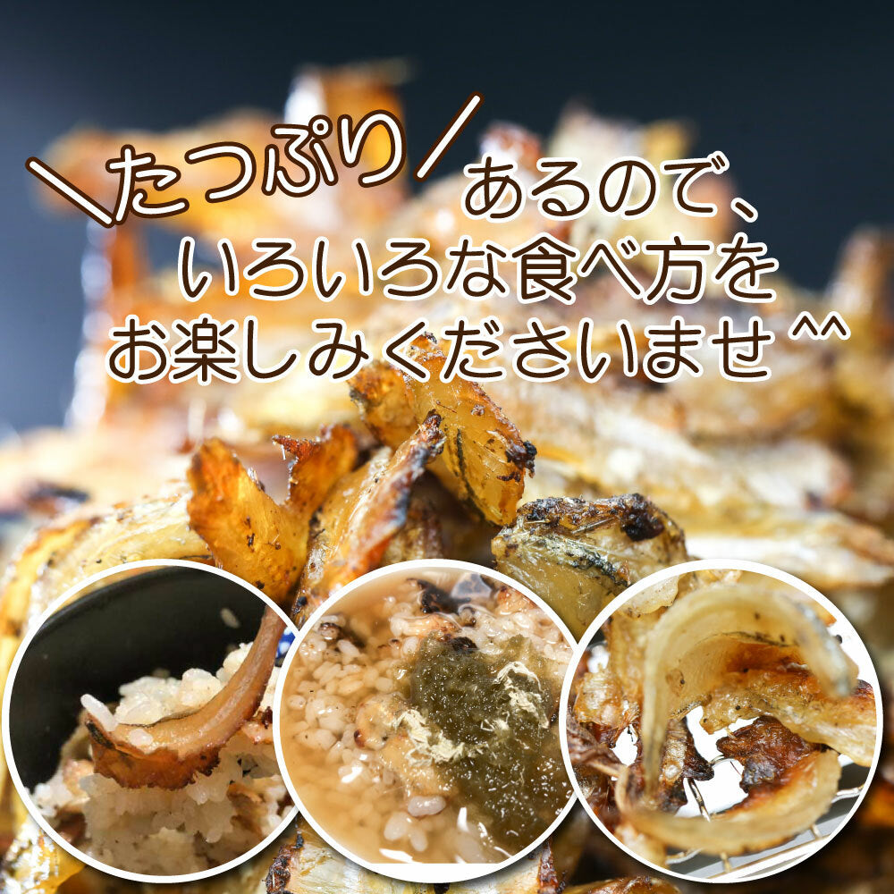 訳あり炙りいわし 200g 訳あり大容量