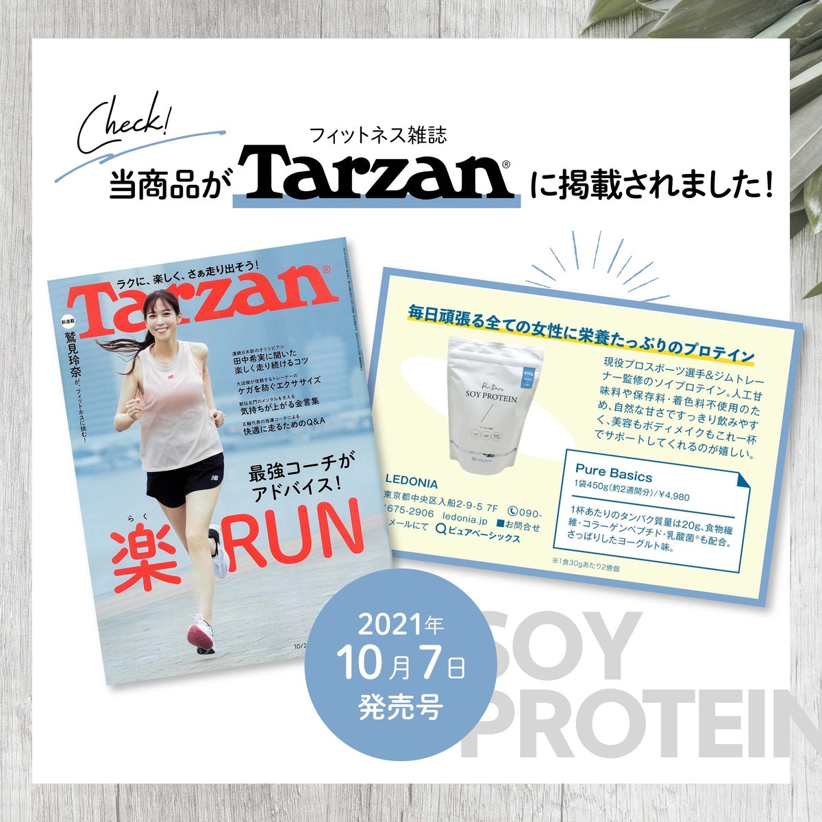 ソイプロテイン 女性 プロテイン Pure Basics ピュアベーシックス ヨーグルト味 美容 ダイエット 美容プロテイン ボディメイク 人工甘味料 不使用 保存料 着色料 無し 大豆プロテイン アスリート 筋トレ SOY PROTEIN 飲む美容液　PureBasics たんぱく質20g クーポン割引