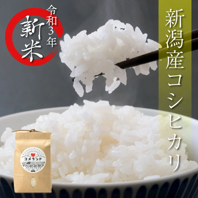 10kg 令和3年産 新潟こしひかり
