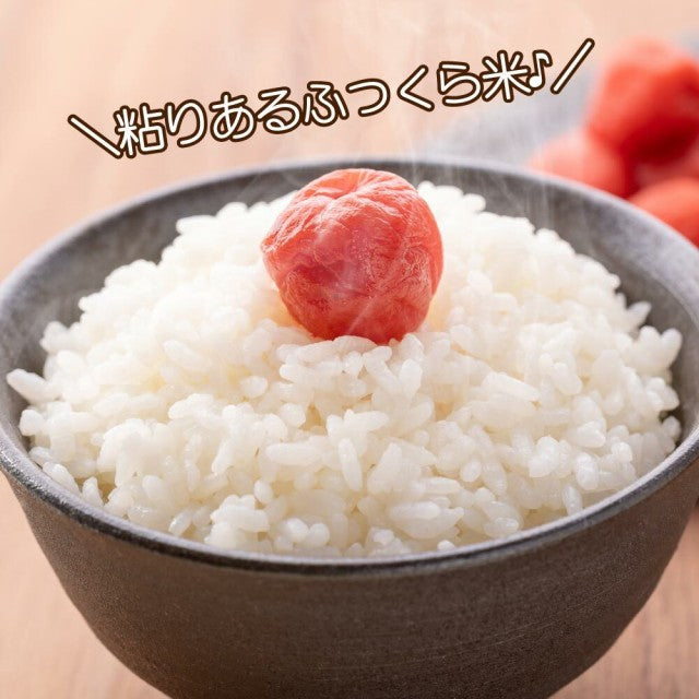 5kg 令和4年産 新潟こしひかり