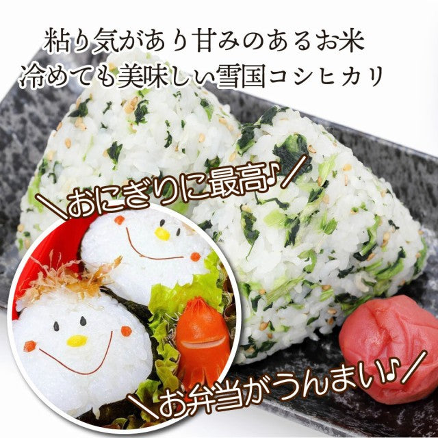 5kg 令和4年産 新潟こしひかり