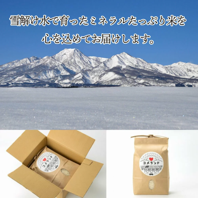 10kg 令和3年産 新潟こしひかり