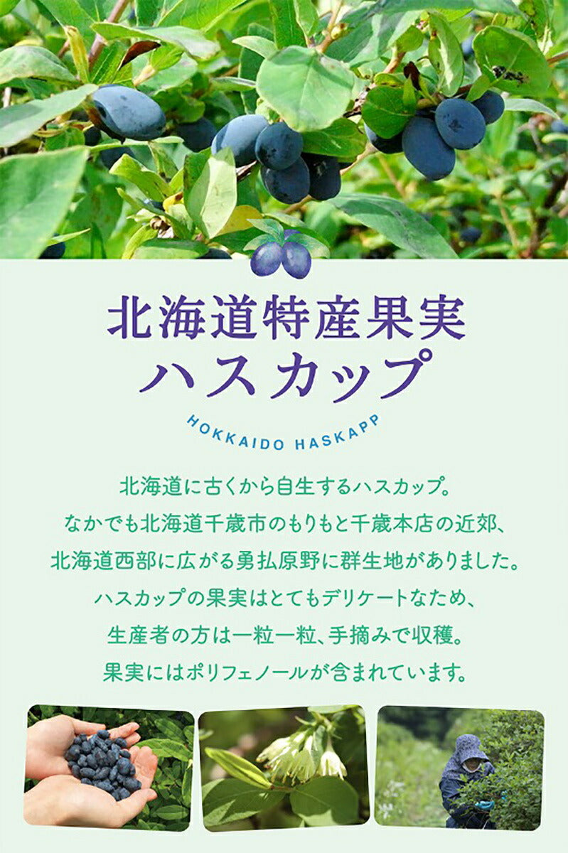 ハスカップジュエリーMIX 6個入×10箱セット もりもと 北海道  千歳 お菓子 スイーツ 人気 ミックスジャム バタークリーム チョコレート クッキー