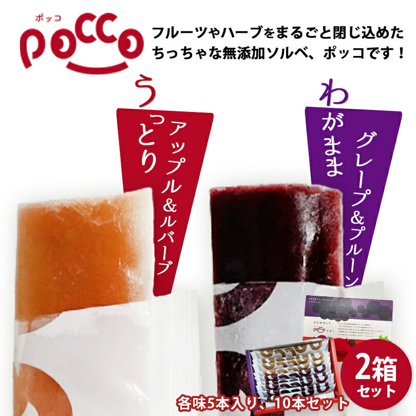 pocco 10本入×2個セット 送料無料 メール便 コロッケ株式会社 新感覚 デザート スイーツ アイス ソース ペースト アップル りんご グレープ ぶどう フルーツ 北海道 お土産 ギフト プレゼント 贈り物
