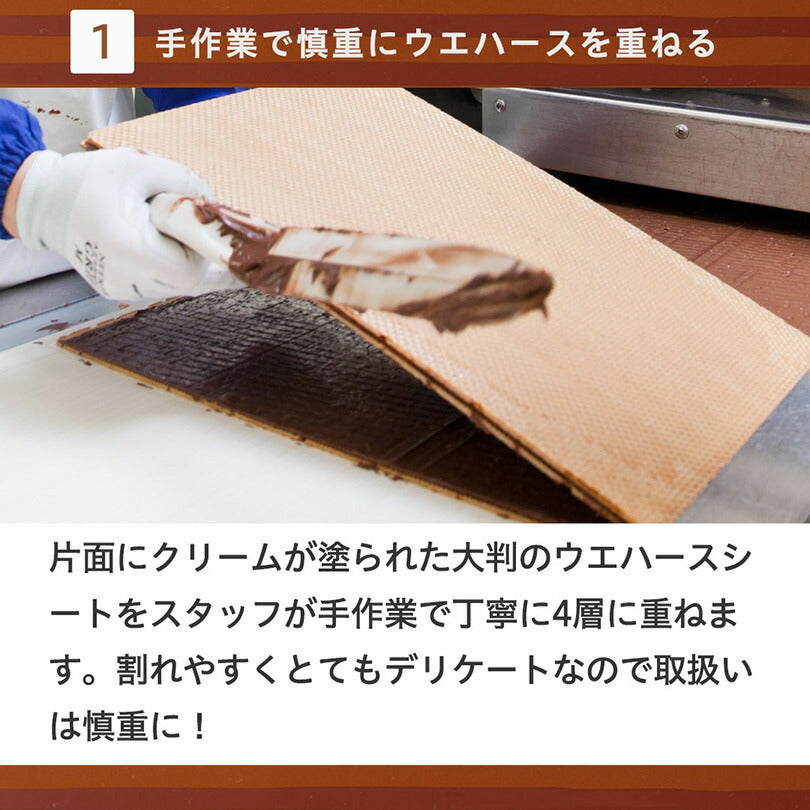 ロイズ チョコレートウエハース ヘーゼルクリーム 12個入 3個セット ROYCE 北海道 人気 お菓子 スイーツ コーティング 大ヒット 定番 / チョコレート クリスマス