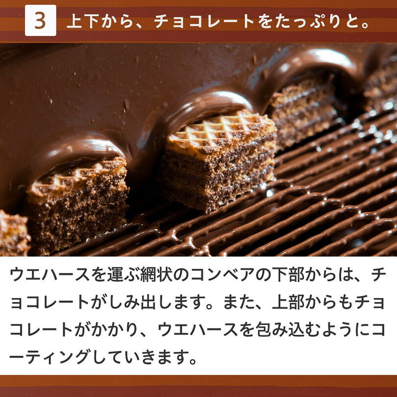 ロイズ チョコレートウエハース ヘーゼルクリーム 12個入 ROYCE 北海道 人気 お菓子 スイーツ コーティング 大ヒット 定番 / チョコレート クリスマス