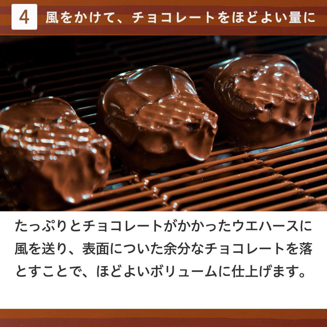 ロイズ チョコレートウエハース ヘーゼルクリーム 12個入 ROYCE 北海道 人気 お菓子 スイーツ コーティング 大ヒット 定番 / チョコレート クリスマス