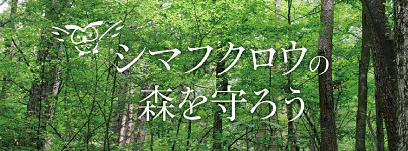 もりもと 北海道バターサブレ 北ふく郎 北海道 千歳 贈り物 ギフト プレゼント 北海道産素材 お土産 手土産 お菓子 焼き菓子