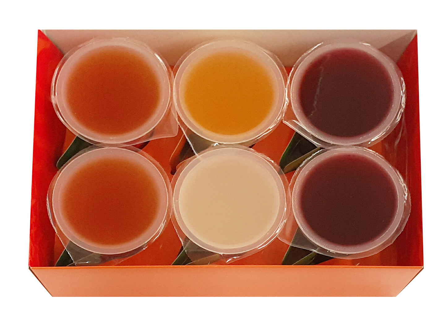太陽いっぱいのゼリー 4種詰合せ 6個入 【トマト・ハスカップ・メロン・白桃】 北海道 千歳 もりもと 人気 果実 お土産 手土産 贈り物 ゼリー ギフト 北海道産 仁木町 トマト ハスカップ メロン 白桃