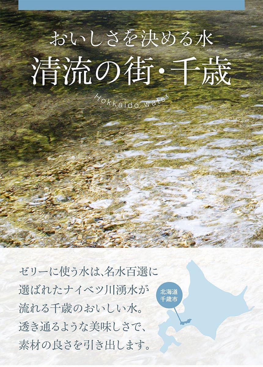 太陽いっぱいのメロンゼリー 130g 北海道 千歳 もりもと 人気 果実 お土産 手土産 贈り物 ゼリー ギフト 北海道産