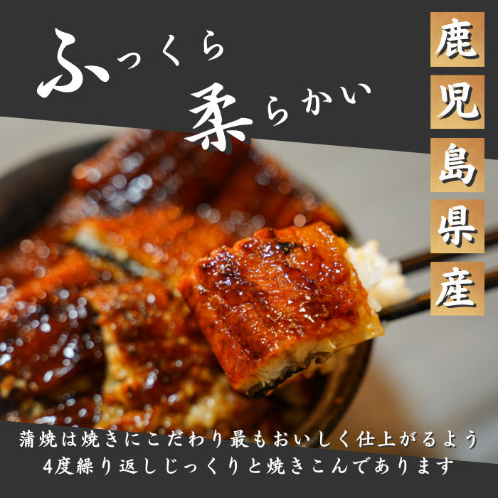 特大国産うなぎ蒲焼 200g×5尾