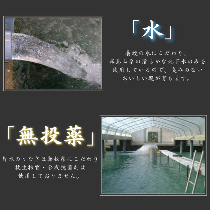 特大国産うなぎ蒲焼180g×5尾
