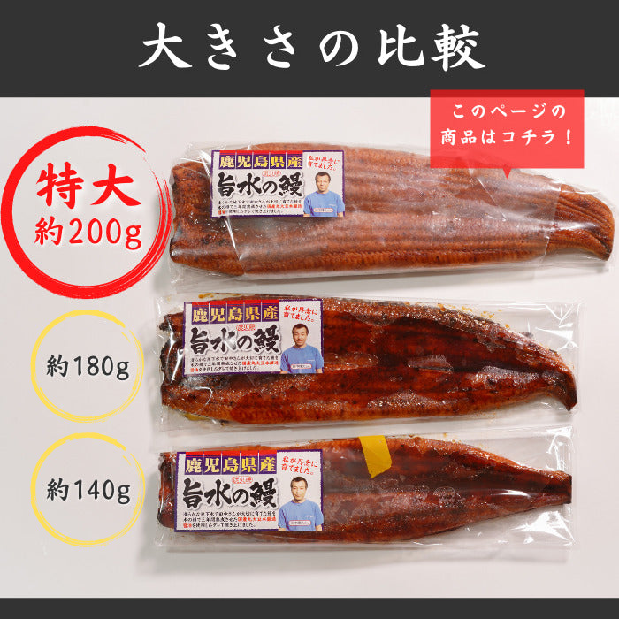 特大国産うなぎ蒲焼 200ｇ×2尾