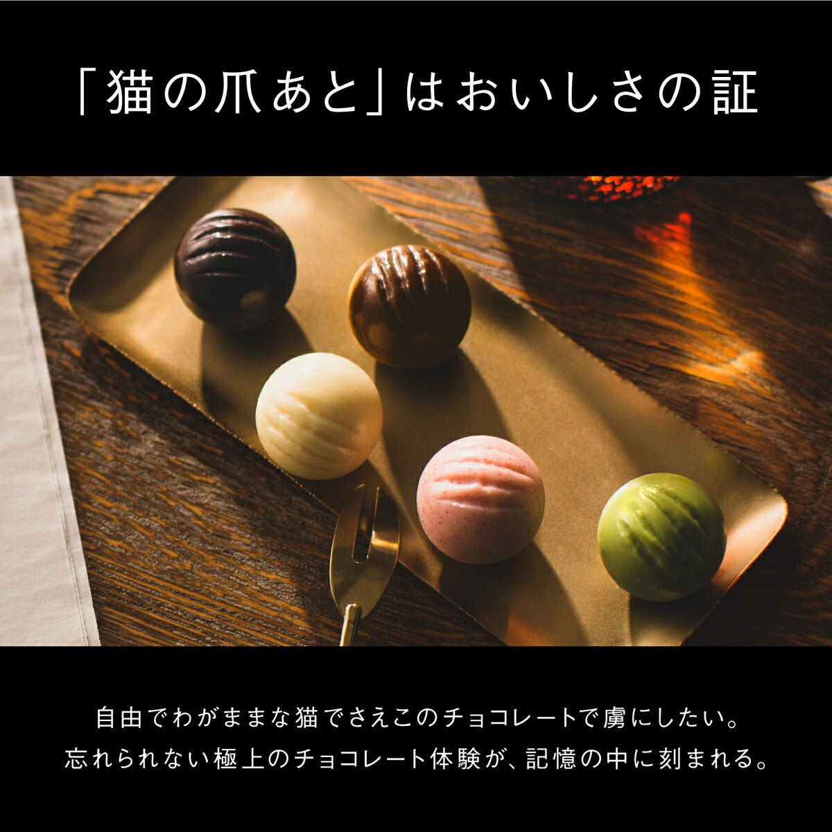 CACAOCAT ストロベリー 6入 チョコレート  お土産 手土産 人気 ダーク ミルク 抹茶 ホワイト ストロベリー カカオ DADACA カカオキャット 猫 ねこ ネコ 一口サイズ