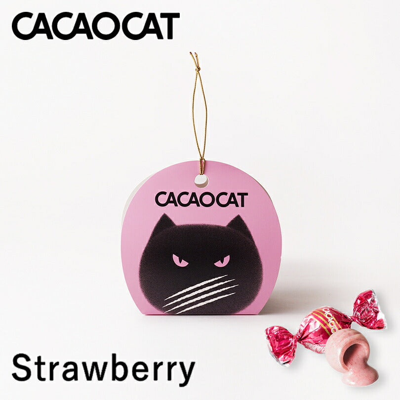 CACAOCAT ストロベリー 2個入 北海道 チョコレート お土産 手土産 人気 ダーク ミルク 抹茶 ホワイト ストロベリー カカオ DADACA カカオキャット 猫 ねこ ネコ 一口サイズ 海外