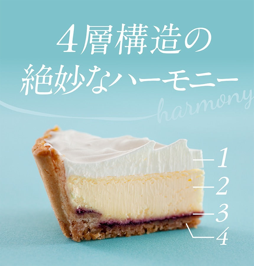 ふらの雪どけチーズケーキ 北海道 富良野 お土産 チーズケーキ ケーキ 手土産 プレゼント プチギフト 誕生日 取り寄せ おすすめ 贈り物 人気 定番 チーズ レアチーズケーキ ベイクド レア スイーツ