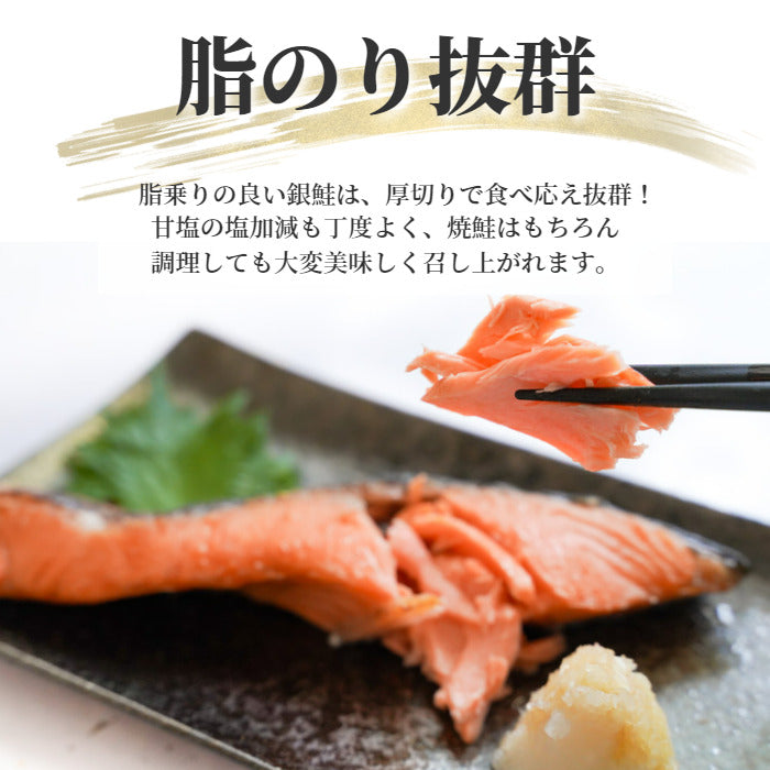 銀鮭 厚切り 20切れ