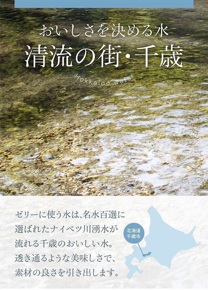 太陽いっぱいのメロンゼリー 80g 3個入り 5個セット 送料無料 北海道 千歳 もりもと 人気 果実 お土産 手土産 贈り物 ゼリー ギフト 北海道産