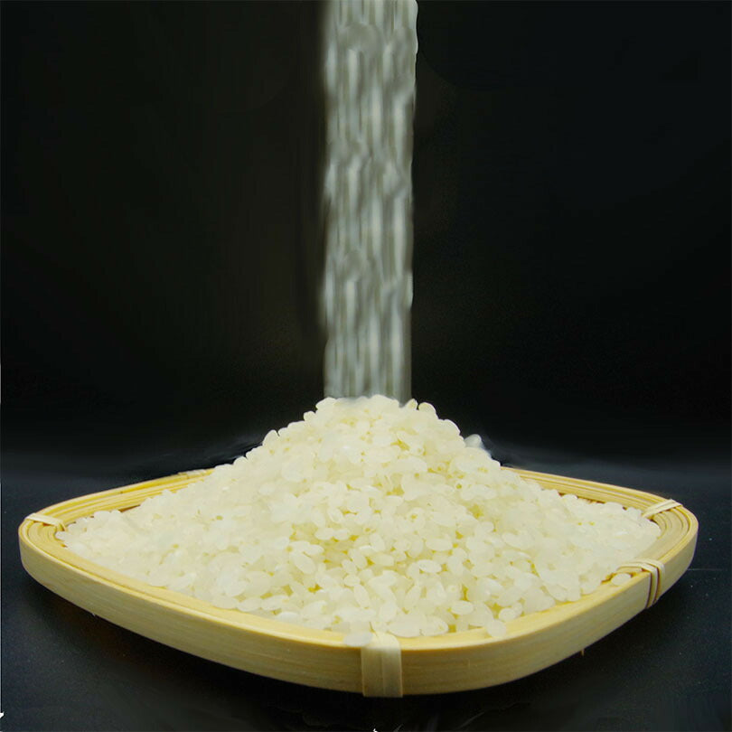 雪そだち米 (美唄市産) 300g 2合 送料無料 レターパック 北海道 美唄市 びばい 精米 米 白米 ななつぼし 雪倉庫 お土産 贈り物 ギフト