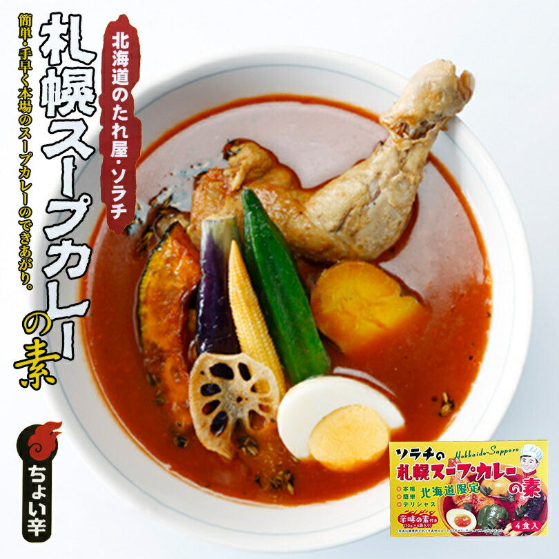 カレー レトルト 北海道のたれ屋 ソラチ 札幌スープカレーの素 辛味の素付き × 5個セット 箱 4食入 北海道 札幌 スパイス 本場 お土産 手土産 贈り物 プレゼント 送料無料
