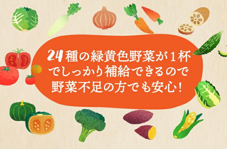【限定30セット特別価格】24食入 24種の緑黄色野菜の贅沢豆乳コーンスープ