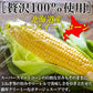 【先着10購入限定・16%OFF】ダイエットコーンポタージュ約20食分【高タンパク＆低糖質】おからパウダー配合
