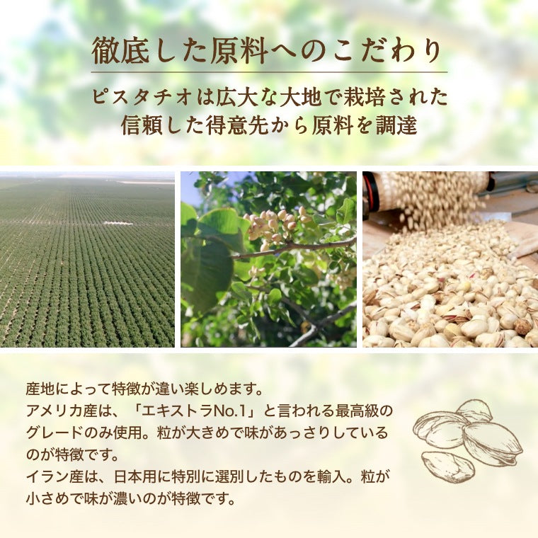 ナッツ専門店の ピスタチオ 塩味 (アメリカ産) 500g 送料無料 ゆうパケット 赤穂の焼き塩でまろやか仕立て有塩 塩付ノンオイル 無添加 ぴすたちお 大粒 殻付き 殻つき 殻あり おやつ おつまみ 健康 美容 不飽和脂肪酸 カリウム 焙煎 ロースト チャック袋入 自社焙煎