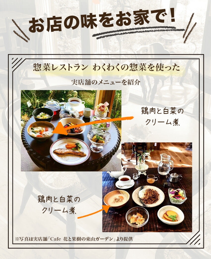 鶏肉と白菜のクリーム煮(10パック)