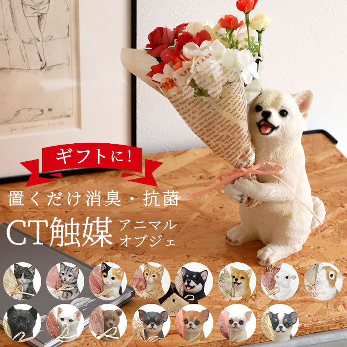 【チワワシロ・ブーケ】 花 ギフト 通販 ブーケ 造花 ct触媒 エアクリーナー 抗菌 消臭 空気清浄 ミニョン フラワーギフト インテリア 置物 雑貨 敬老の日 母の日 父の日 プレゼント プチギフト 丸和貿易
