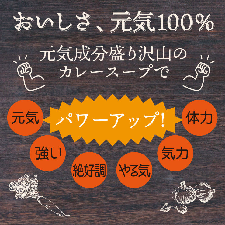 【限定クーポンで20%OFF】30食セット すごい元気カレースープ