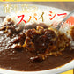 オリジナルカレー20個セット