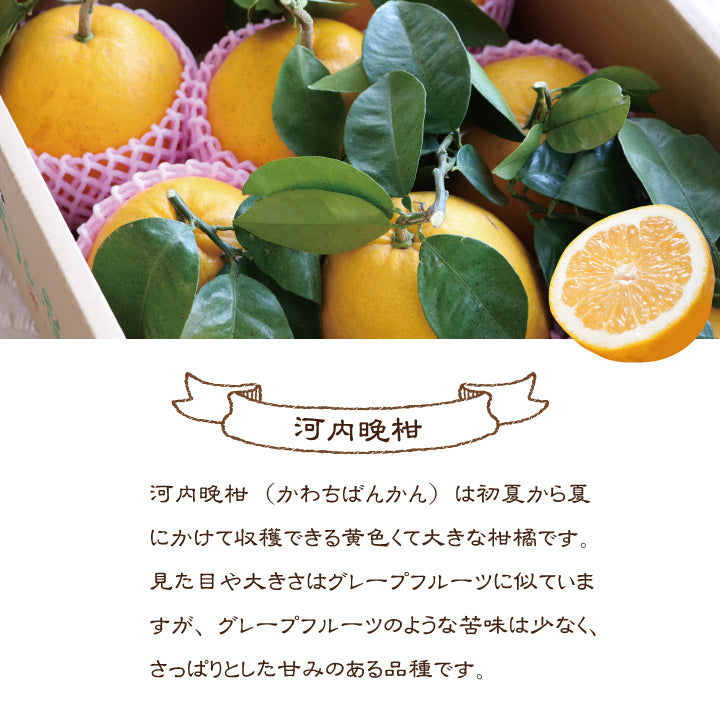 150gドライフルーツ愛媛県産しあわせドライフルーツ河内晩柑ピール/150g国産原料国内加工