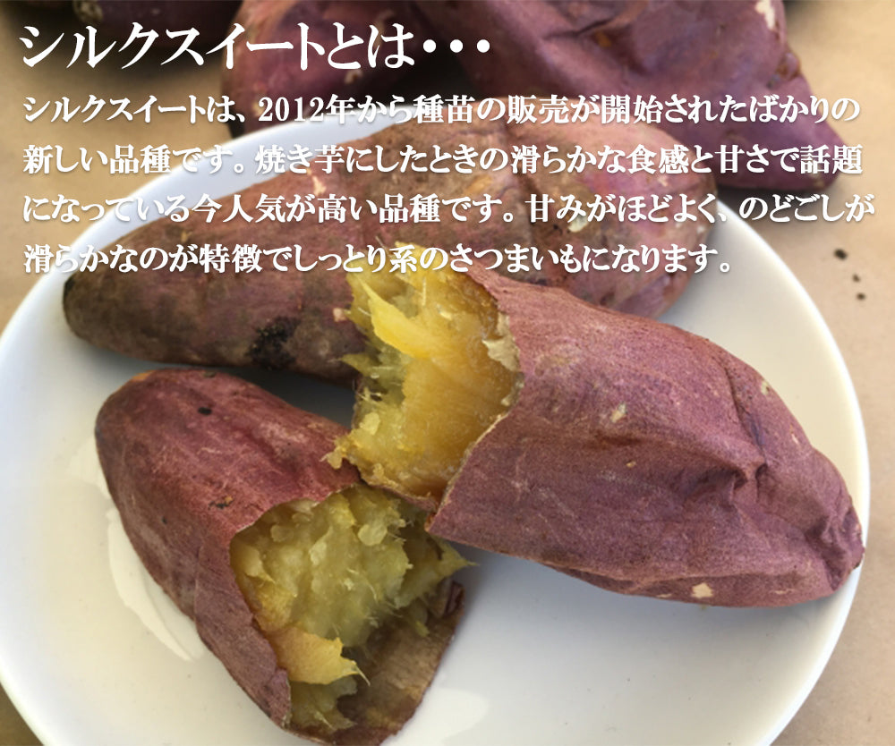 シルクスイート さつまいも 5kg 送料無料 産地直送 産直 土付き さつま芋 薩摩芋 焼きいも 焼き芋 石焼き芋 芋 いも イモ 鹿児島県産 ngs-004