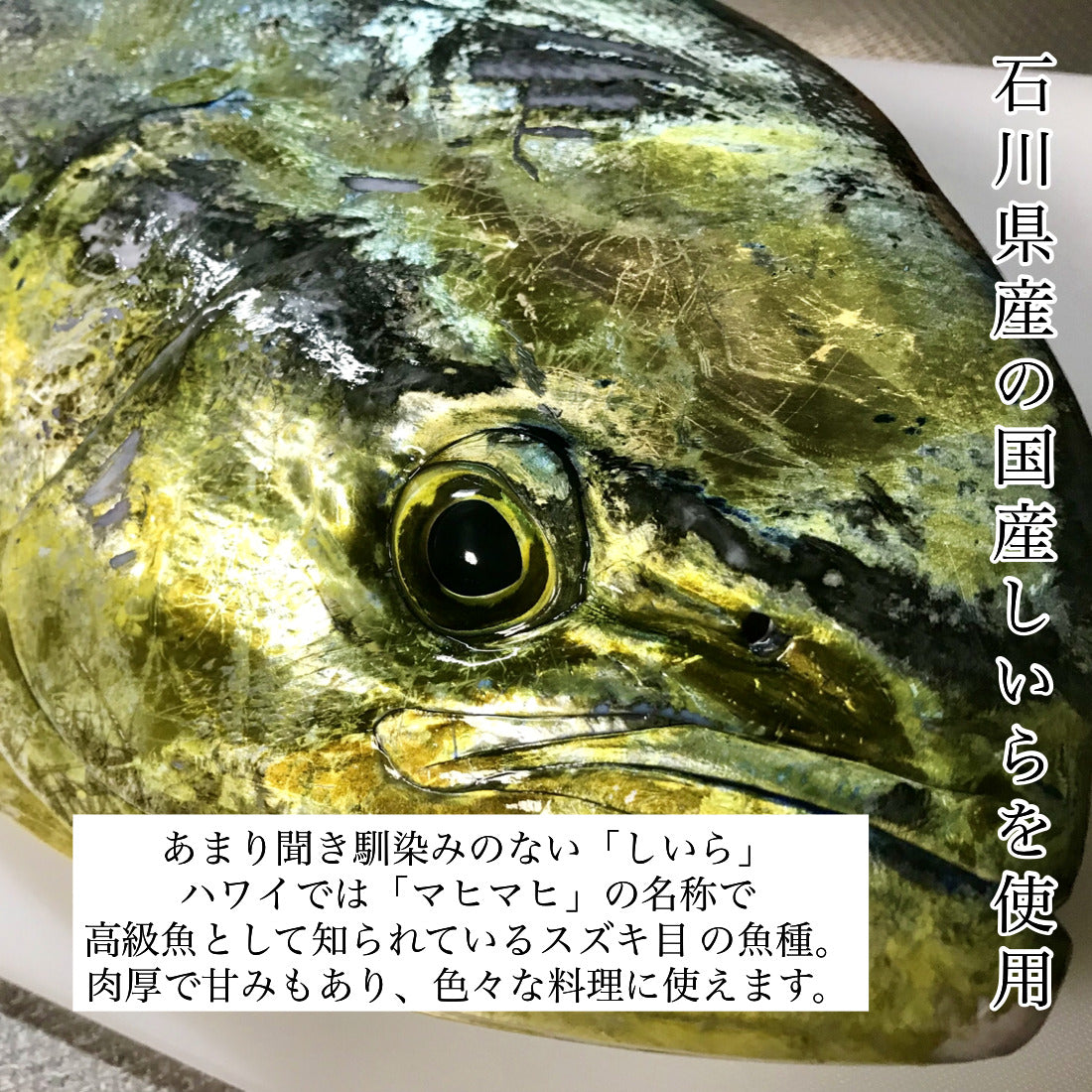 無添加 国産 天然 無塩 しいら 切り身 30g×20切 魚 骨取り 骨なし 冷凍 皮とり 便利なひとくちサイズ 骨抜き 魚切り身 お弁当 加熱用 チャック袋入【C配送：冷凍】