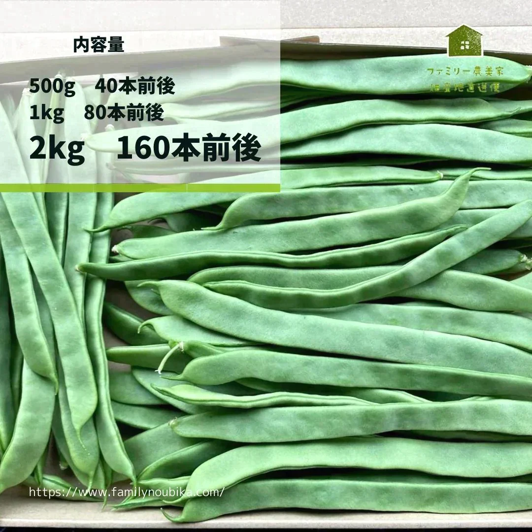 【農家直送！】鹿児島産 -甘塩ジャンボインゲン-（2kg,160本前後）採れたて新鮮！ / 野菜 / いんげん / 豆 / ごま / 炒め物 / 煮物 / サラダ / 新鮮 / 農産物 / 無農薬 / 送料無料【特産品・ご当地特集】