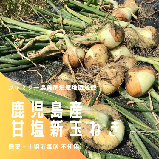 【農家直送！】鹿児島産 -甘塩新玉ねぎ-（4.5kg,28個前後）採れたて新鮮！ / 野菜 / タマネギ / カレー / 炒め物 / サラダ / 新鮮 / 農産物 / 無農薬 /【特産品・ご当地特集】