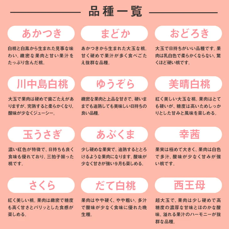 予約商品 訳あり 山形県産 白桃 品種おまかせ約2kg(玉数おまかせ) ※一部地域は別途送料 果物 8月下旬〜9月上旬発送 フルーツ　pc05