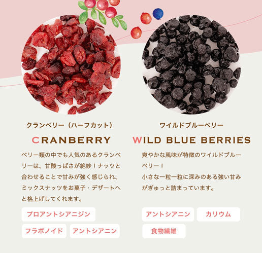 【3人シェア買いでお得】500g ラッキーベリーナッツ (250g×2) 無塩 ナッツ くるみ カシューナッツ アーモンド クランベリー ワイルドブルーベリー