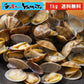 【送料無料】天然 殻付きアサリの旨味ボイル どっさり1kg 冷凍食品 あさり 貝 かい カイ 浅利 お中元【家計お助けSALE】