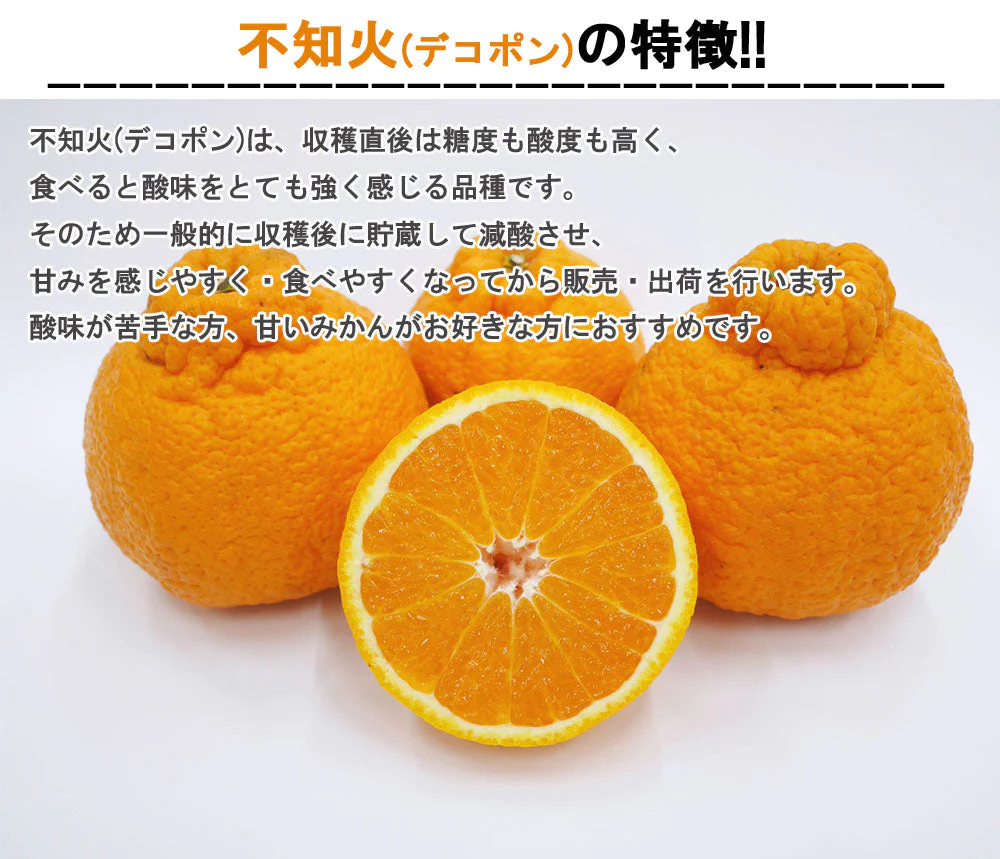 不知火 (デコポン) 5kg 中玉 送料無料 ご家庭用 箱買い みかん 柑橘 フルーツ 果物 産地直送 愛媛県産 YDF-010